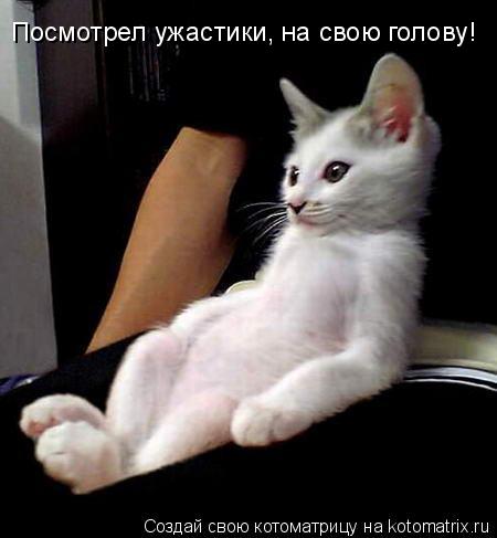 Посмотрел ужастики, на свою голову!... Котоматрица: Посмотрел ужастики, на свою голову!