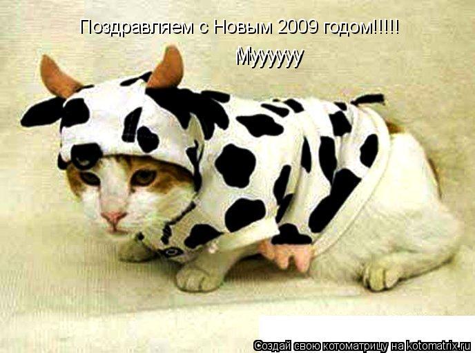 Поздравляем с Новым 2009 годом!!!!! Муууууу Муууууу... Котоматрица: Поздравляем с Новым 2009 годом!!!!! Муууууу Муууууу
