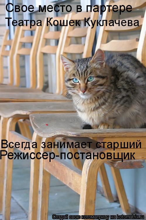 Режиссер-постановщик Свое место в партере Театра Кошек Куклачева Всегда занимает старший... Котоматрица: Режиссер-постановщик Свое место в партере Театра Кошек Куклачева Всегда занимает старший