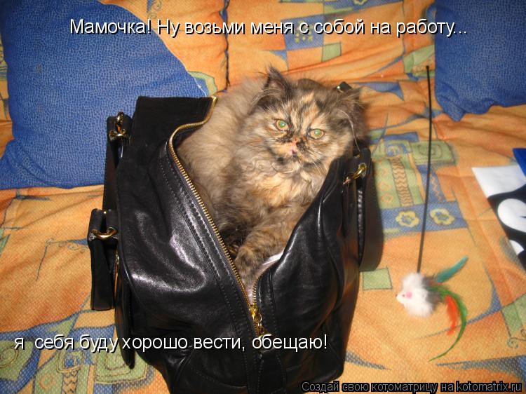 Мамочка! Ну возьми меня с собой на работу... я себя буду хорошо вести, обещаю!... Котоматрица: Мамочка! Ну возьми меня с собой на работу... я себя буду хорошо вести, обещаю!