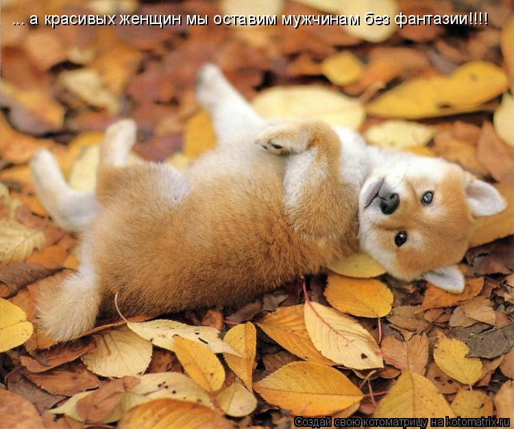 ... а красивых женщин мы оставим мужчинам без фантазии!!!!... Котоматрица: ... а красивых женщин мы оставим мужчинам без фантазии!!!!