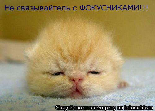 Не связывайтель с ФОКУСНИКАМИ!!!... Котоматрица: Не связывайтель с ФОКУСНИКАМИ!!!