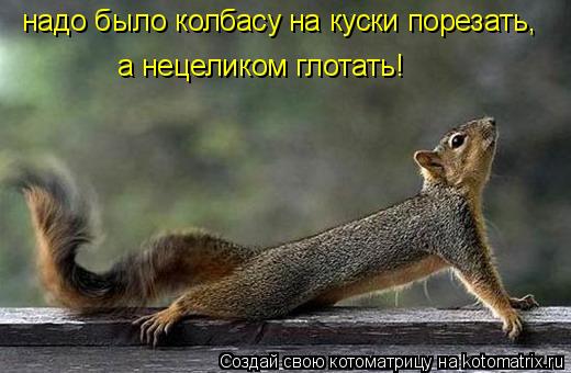 надо было колбасу на куски порезать, а нецеликом глотать!... Котоматрица: надо было колбасу на куски порезать, а нецеликом глотать!