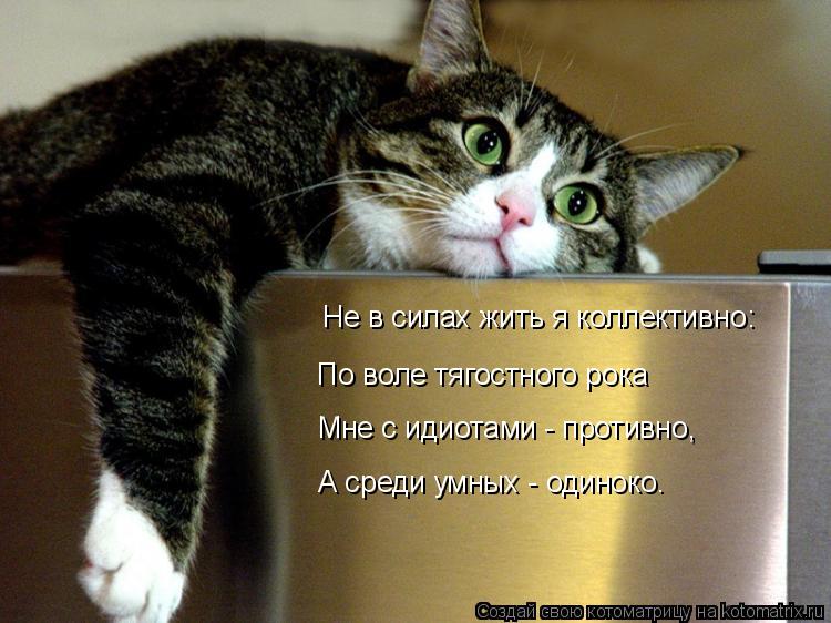Не в силах жить я коллективно: По воле тягостного рока Мне с идиотами - противно, А среди умных - од... Котоматрица: Не в силах жить я коллективно: По воле тягостного рока Мне с идиотами - противно, А среди умных - одиноко.