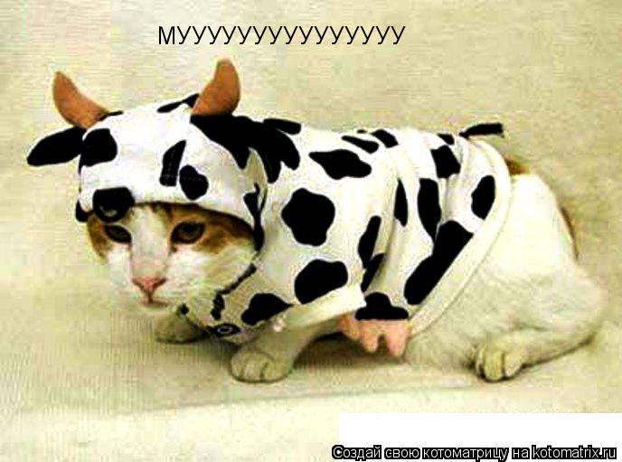 МУУУУУУУУУУУУУУУ... Котоматрица: МУУУУУУУУУУУУУУУ
