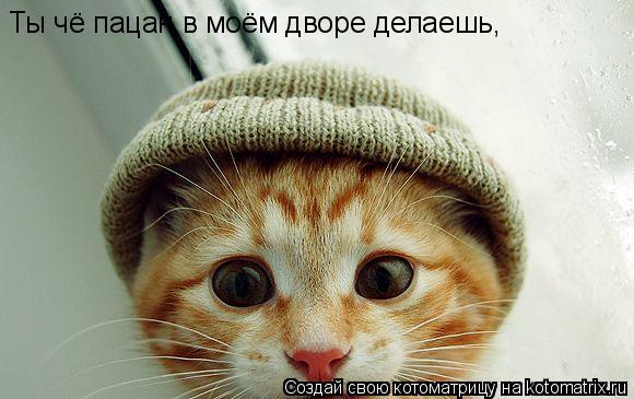 Ты чё пацан в моём дворе делаешь,... Котоматрица: Ты чё пацан в моём дворе делаешь,