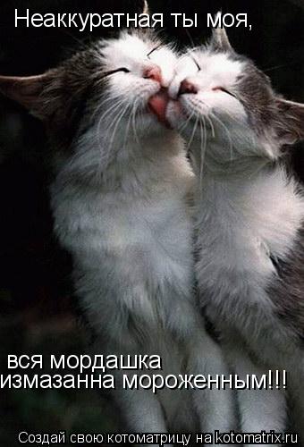 Неаккуратная ты моя, вся мордашка измазанна мороженным!!!... Котоматрица: Неаккуратная ты моя, вся мордашка измазанна мороженным!!!
