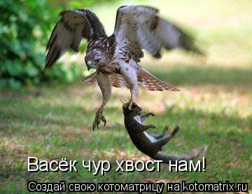 Васёк чур хвост нам!... Котоматрица: Васёк чур хвост нам!
