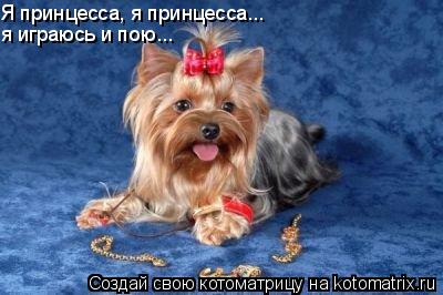 Я принцесса, я принцесса... я играюсь и пою...... Котоматрица: Я принцесса, я принцесса... я играюсь и пою...