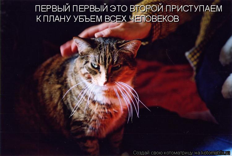 Котоматрица: ПЕРВЫЙ ПЕРВЫЙ ЭТО ВТОРОЙ ПРИСТУПАЕМ К ПЛАНУ УБЪЕМ ВСЕX ЧЕЛОВЕКОВ