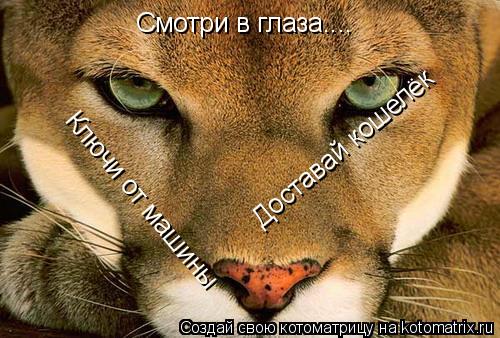 Смотри в глаза.... Доставай кошелёк Ключи от машины... Котоматрица: Смотри в глаза.... Доставай кошелёк Ключи от машины