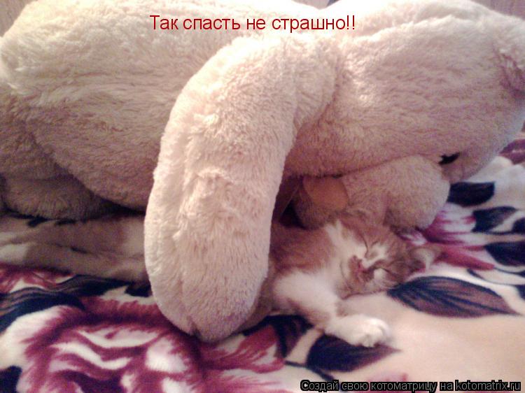 Так спасть не страшно!!... Котоматрица: Так спасть не страшно!!