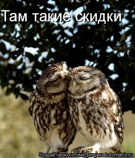 Там такие скидки... Котоматрица: Там такие скидки