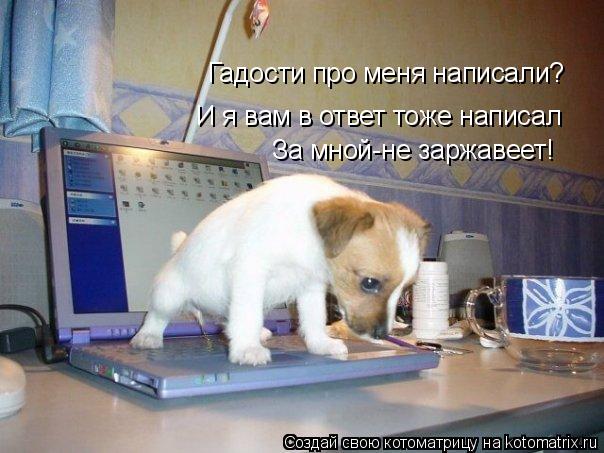 И я вам в ответ тоже написал Гадости про меня написали? За мной-не заржавеет!... Котоматрица: И я вам в ответ тоже написал Гадости про меня написали? За мной-не заржавеет!
