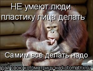 НЕ умеют люди пластику лица делать Самим всё делать надо... Котоматрица: НЕ умеют люди пластику лица делать Самим всё делать надо