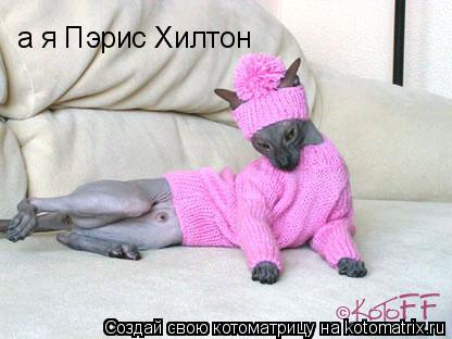 а я Пэрис Хилтон... Котоматрица: а я Пэрис Хилтон