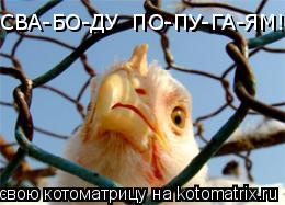 СВА-БО-ДУ ПО-ПУ-ГА-ЯМ!!!!!!!... Котоматрица: СВА-БО-ДУ ПО-ПУ-ГА-ЯМ!!!!!!!