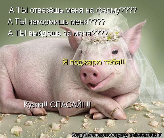 А ТЫ отвезёшь меня на ферму???? А ТЫ накормишь меня???? А ТЫ выйдешь за меня???? Я поджарю тебя!!! Ку... Котоматрица: А ТЫ отвезёшь меня на ферму???? А ТЫ накормишь меня???? А ТЫ выйдешь за меня???? Я поджарю тебя!!! Кузяя!! СПАСАЙ!!!!