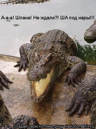 А-а-а! Шпана! Не ждали?! ША под нары!!!... Котоматрица: А-а-а! Шпана! Не ждали?! ША под нары!!!