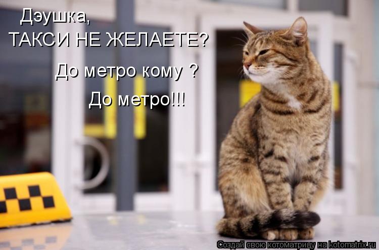 ТАКСИ НЕ ЖЕЛАЕТЕ? До метро кому ? До метро!!! Дэушка,... Котоматрица: ТАКСИ НЕ ЖЕЛАЕТЕ? До метро кому ? До метро!!! Дэушка,