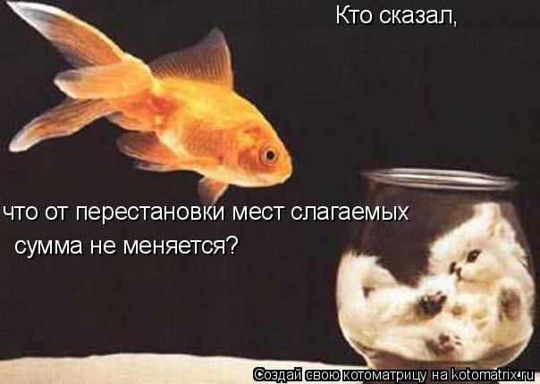 Кто сказал, что от перестановки мест слагаемых сумма не меняется?... Котоматрица: Кто сказал, что от перестановки мест слагаемых сумма не меняется?