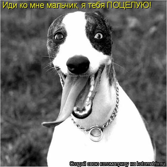 Иди ко мне мальчик, я тебя ПОЦЕЛУЮ!... Котоматрица: Иди ко мне мальчик, я тебя ПОЦЕЛУЮ!