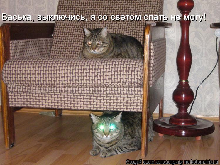 Васька, выключись, я со светом спать не могу!... Котоматрица: Васька, выключись, я со светом спать не могу!