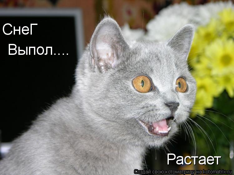Котоматрица: СнеГ Выпол.... Растает