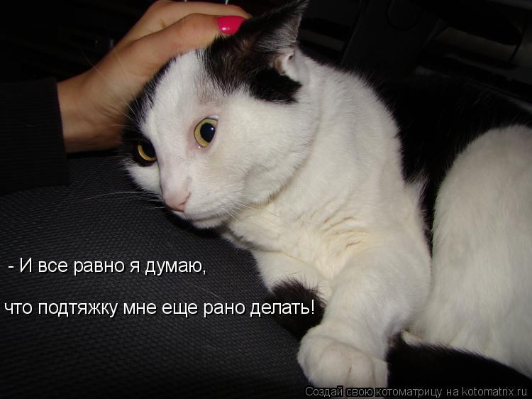 - И все равно я думаю, что подтяжку мне еще рано делать!... Котоматрица: - И все равно я думаю, что подтяжку мне еще рано делать!