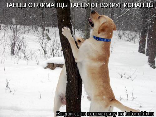ТАНЦЫ ОТЖИМАНЦЫ ТАНЦУЮТ ВОКРУГ ИСПАНЦЫ... Котоматрица: ТАНЦЫ ОТЖИМАНЦЫ ТАНЦУЮТ ВОКРУГ ИСПАНЦЫ