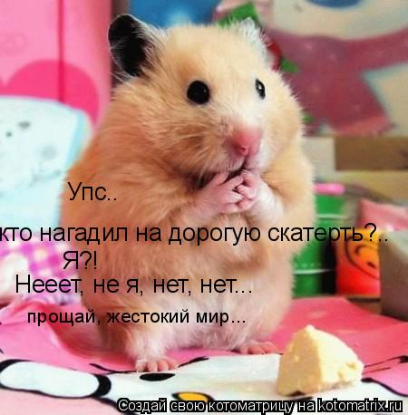 Упс.. кто нагадил на дорогую скатерть?.. Я?! Нееет, не я, нет, нет... прощай, жестокий мир...... Котоматрица: Упс.. кто нагадил на дорогую скатерть?.. Я?! Нееет, не я, нет, нет... прощай, жестокий мир...