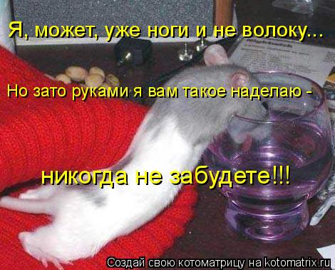Я, может, уже ноги и не волоку... Но зато руками я вам такое наделаю - никогда не забудете!!!... Котоматрица: Я, может, уже ноги и не волоку... Но зато руками я вам такое наделаю - никогда не забудете!!!