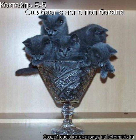 Коктейль Б-5 Сшибает с ног с пол бокала... Котоматрица: Коктейль Б-5 Сшибает с ног с пол бокала