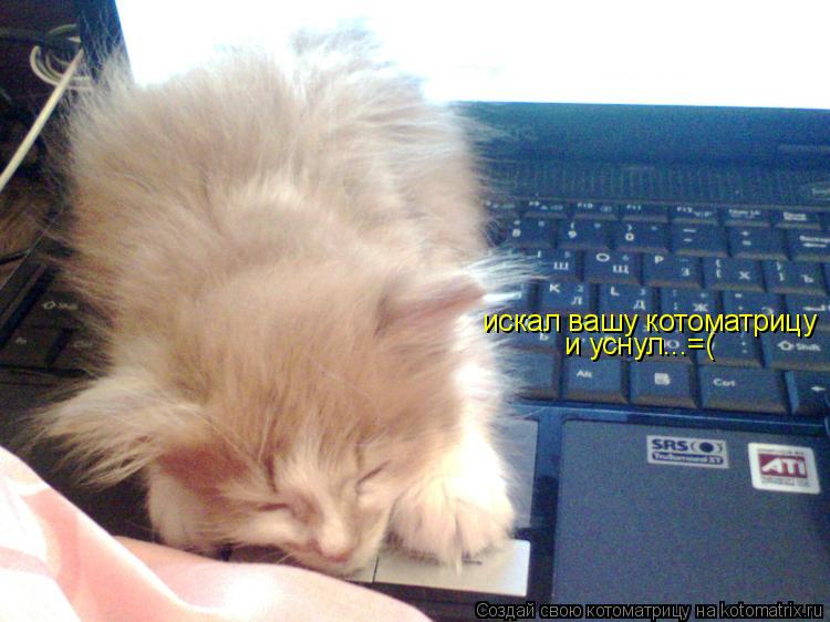 искал вашу котоматрицу и уснул...=(... Котоматрица: искал вашу котоматрицу и уснул...=(