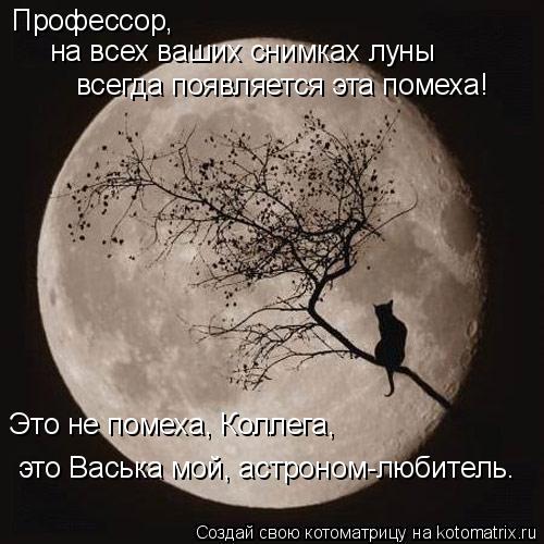 Профессор, на всех ваших снимках луны всегда появляется эта помеха! Это не помеха, Коллега, это Ва... Котоматрица: Профессор, на всех ваших снимках луны всегда появляется эта помеха! Это не помеха, Коллега, это Васька мой, астроном-любитель.
