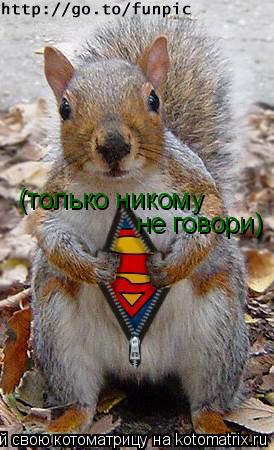 (только никому не говори)... Котоматрица: (только никому не говори)