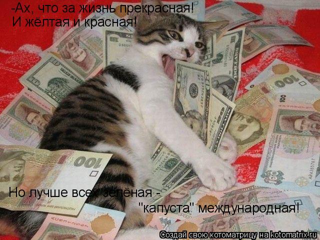 -Ах, что за жизнь прекрасная! И жёлтая и красная! Но лучше всех зелёная - "капуста" международная!... Котоматрица: -Ах, что за жизнь прекрасная! И жёлтая и красная! Но лучше всех зелёная - "капуста" международная!
