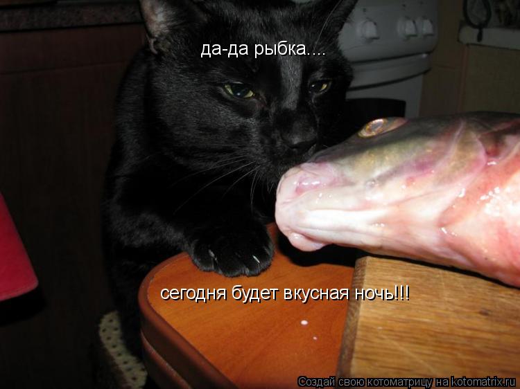 да-да рыбка.... сегодня будет вкусная ночь!!!... Котоматрица: да-да рыбка.... сегодня будет вкусная ночь!!!
