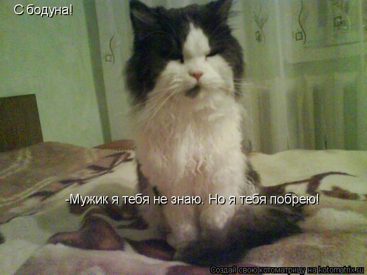 С бодуна! -Мужик я тебя не знаю. Но я тебя побрею!... Котоматрица: С бодуна! -Мужик я тебя не знаю. Но я тебя побрею!