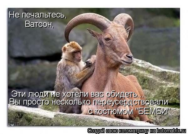Не печальтесь, Ватсон, Вы просто несколько переусердствовали с костюмом "БЕМБИ" Эти люди не хотели ва... Котоматрица: Не печальтесь, Ватсон, Вы просто несколько переусердствовали с костюмом "БЕМБИ" Эти люди не хотели вас обидеть...
