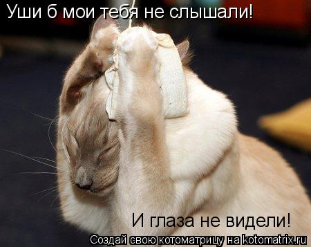 Уши б мои тебя не слышали! И глаза не видели!... Котоматрица: Уши б мои тебя не слышали! И глаза не видели!