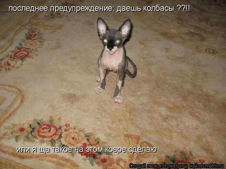 последнее предупреждение: даешь колбасы ??!!! или я ща такое на этом ковре сделаю или я ща такое на... Котоматрица: последнее предупреждение: даешь колбасы ??!!! или я ща такое на этом ковре сделаю или я ща такое на этом ковре сделаю последнее предупрежден