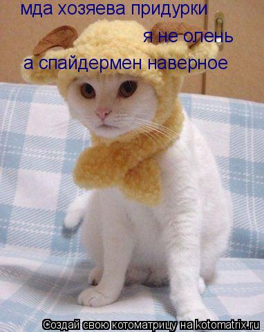 мда хозяева придурки я не олень а спайдермен наверное... Котоматрица: мда хозяева придурки я не олень а спайдермен наверное