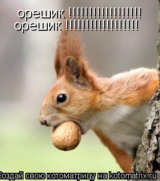орешик !!!!!!!!!!!!!!!!!! орешик !!!!!!!!!!!!!!!!!!... Котоматрица: орешик !!!!!!!!!!!!!!!!!! орешик !!!!!!!!!!!!!!!!!!