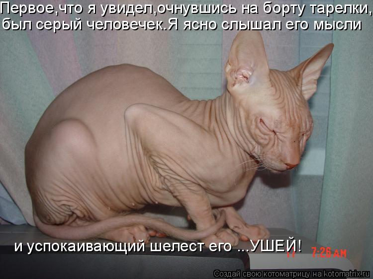 Первое,что я увидел,очнувшись на борту тарелки, был серый человечек.Я ясно слышал его мысли и успока... Котоматрица: Первое,что я увидел,очнувшись на борту тарелки, был серый человечек.Я ясно слышал его мысли и успокаивающий шелест его ...УШЕЙ!