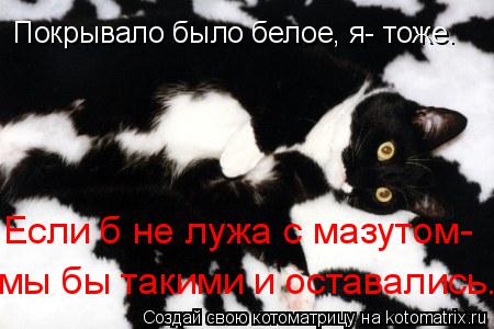 Покрывало было белое, я- тоже. Если б не лужа с мазутом- мы бы такими и оставались..... Котоматрица: Покрывало было белое, я- тоже. Если б не лужа с мазутом- мы бы такими и оставались..
