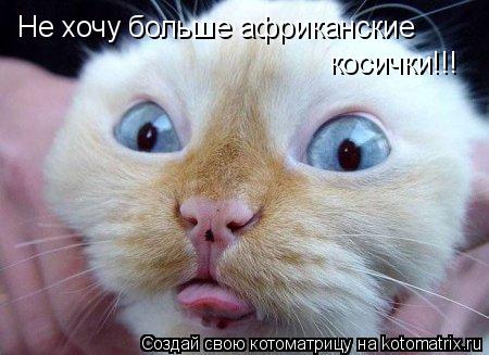 Не хочу больше африканские косички!!!... Котоматрица: Не хочу больше африканские косички!!!
