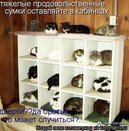 тяжелые продовольственные сумки оставляйте в кабинках дверки??да бросьте, что может случиться?..... Котоматрица: тяжелые продовольственные сумки оставляйте в кабинках дверки??да бросьте, что может случиться?..