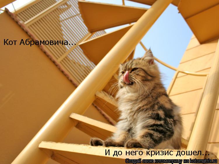 Котоматрица: Кот Абрамовича... И до него кризис дошел...