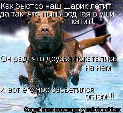 И вот его нос засветился огнем!!!... Котоматрица: И вот его нос засветился огнем!!!